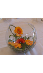 Orange Fishbowl weddings Flowers